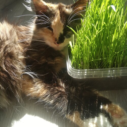 Photo #14063123