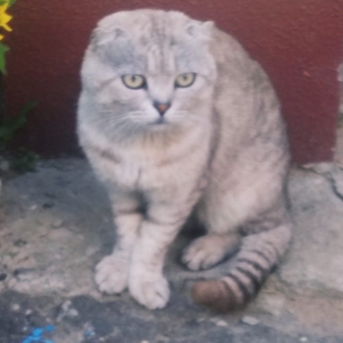 Photo #14063155