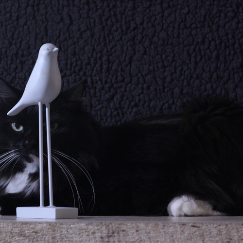 Photo #14063163