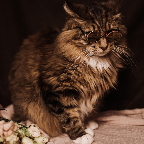 Photo #14063186