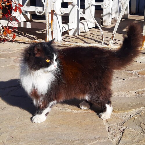 Photo #14063215