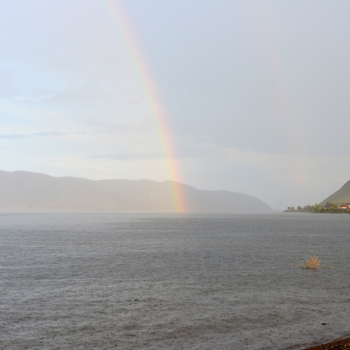 Photo #14063329