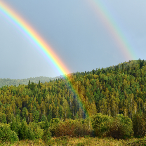 Photo #14063330