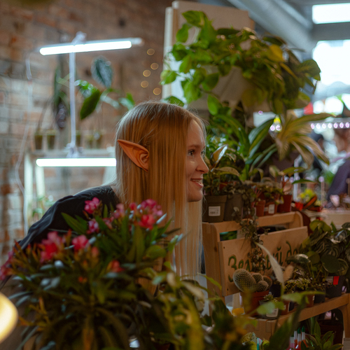 Photo #14063535