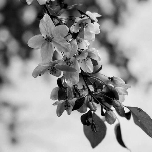 Photo #14063553