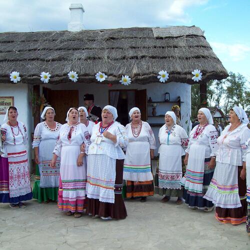 Photo #14063575