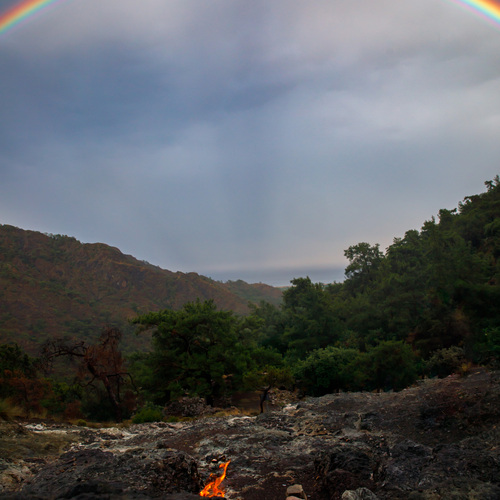 Photo #14063595