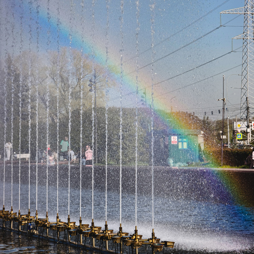 Photo #14063708