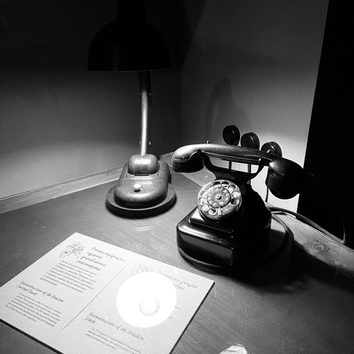 Фотография #14063815