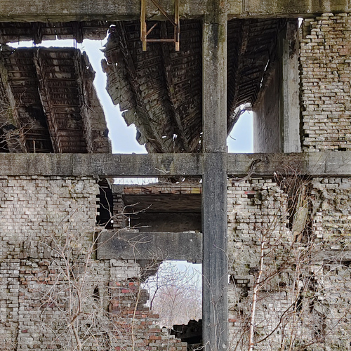 Photo #14064060