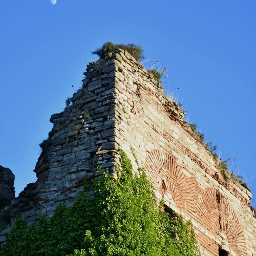 Photo #14064224