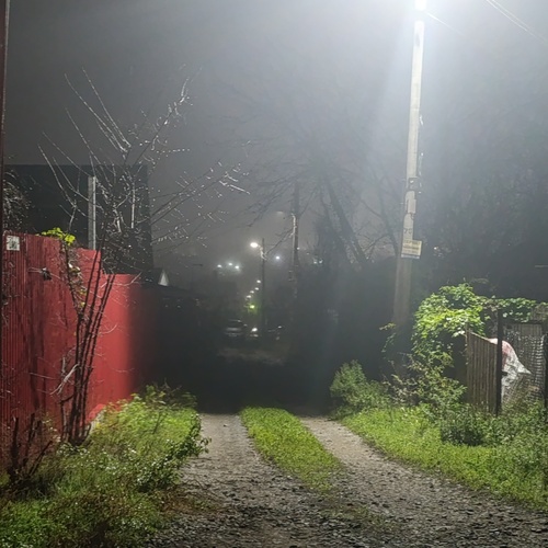 Photo #14064239