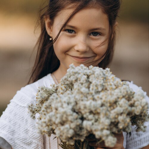 Photo #14064256