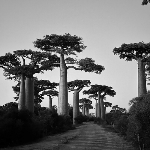 Madagascar