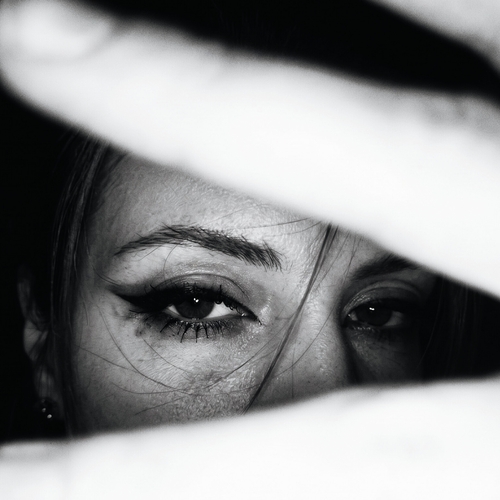 Photo #14064443