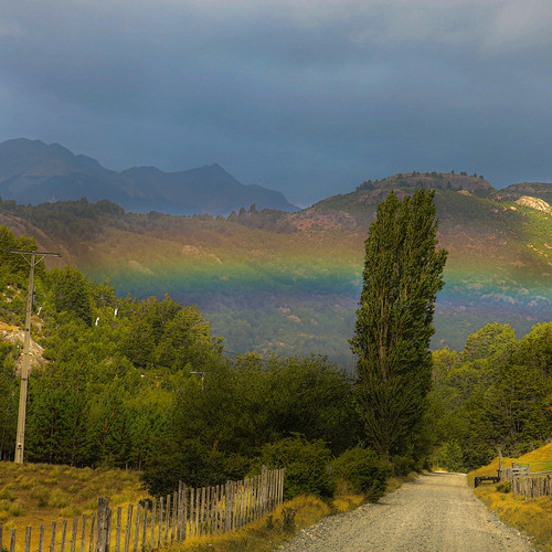 Photo #14064467