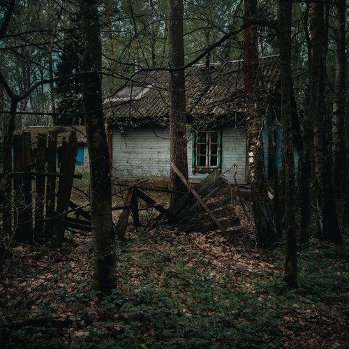 Photo #14064474