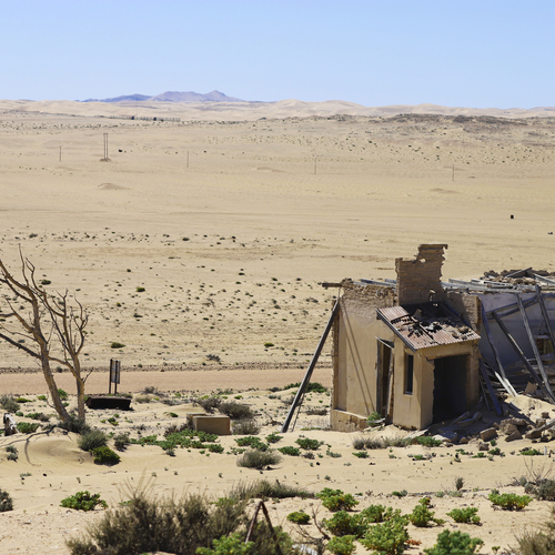 Photo #14064691