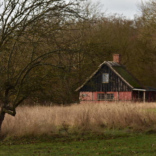 Photo #14064717