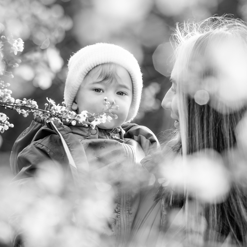 Photo #14064855