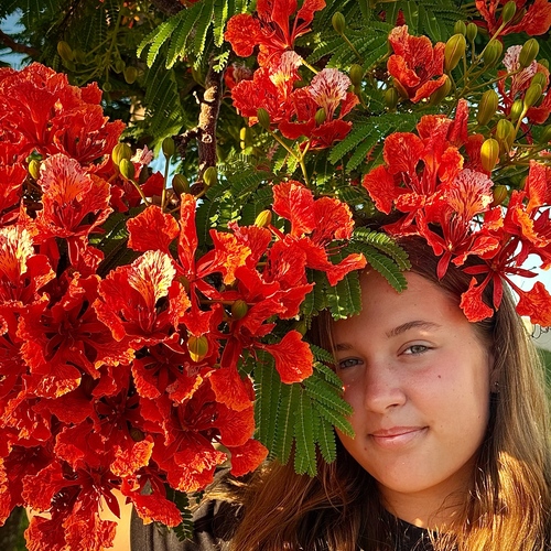 Photo #14064961