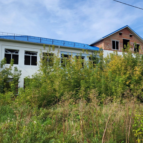 Photo #14065306