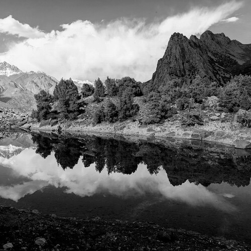 Photo #14065554