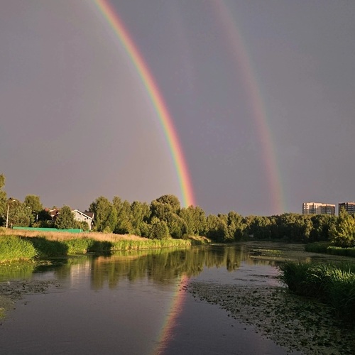 Photo #14065555