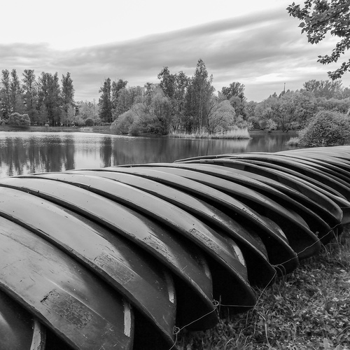 Photo #14065618
