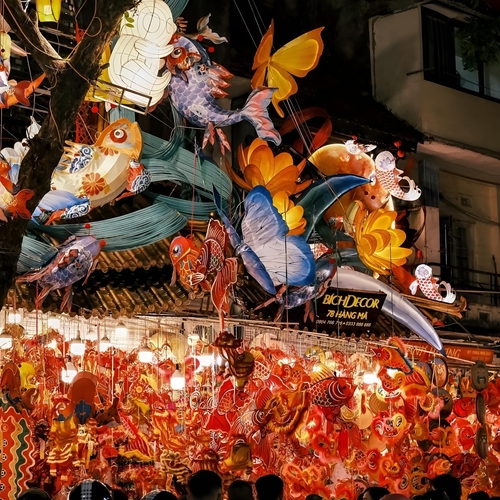 Lantern Tide