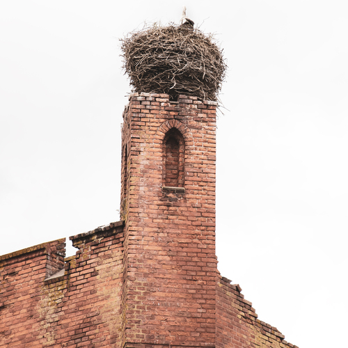 Photo #14065935