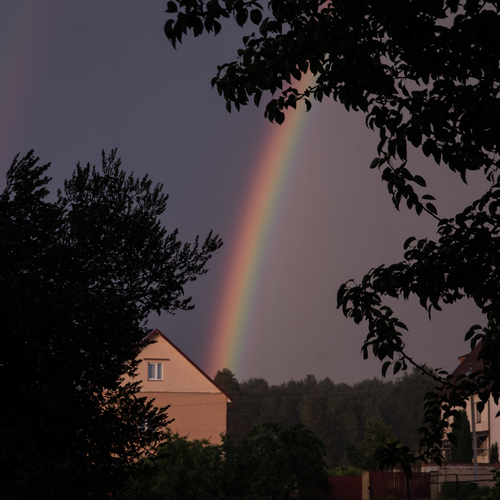 Photo #14066018