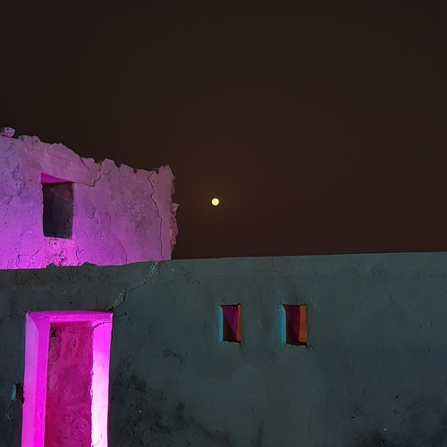 Photo #14066085