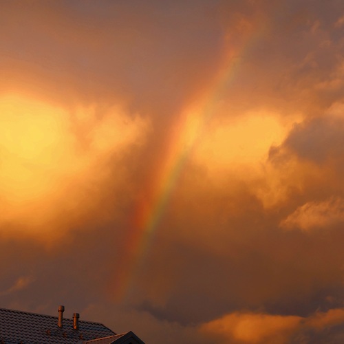 Photo #14066099