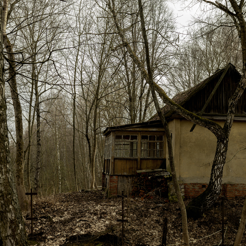 Photo #14066379