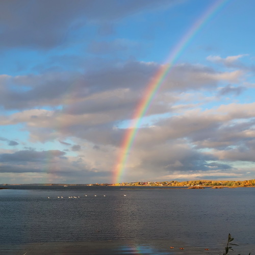 Photo #14066455