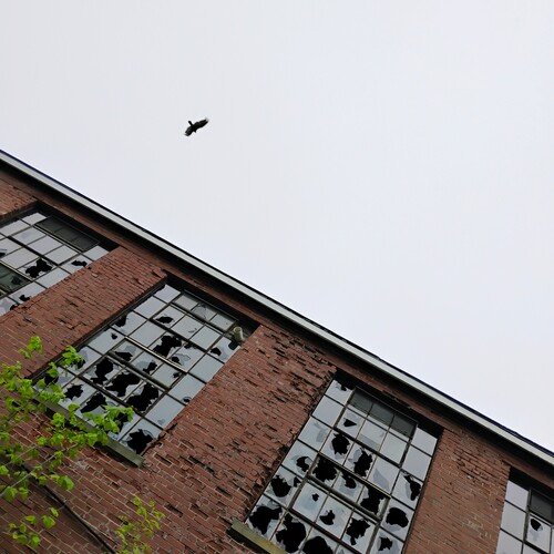 Echoes Above the Mill