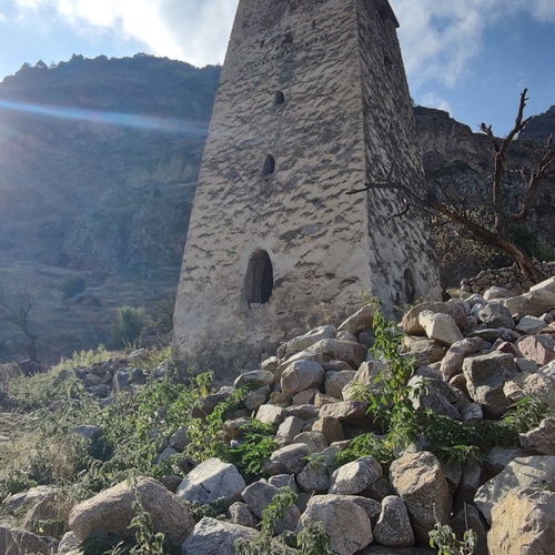 Photo #14066620