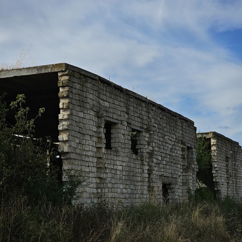 Photo #14066667