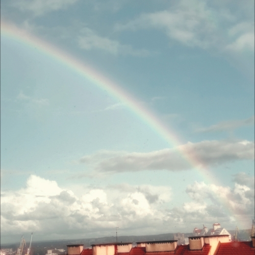 Photo #14066679