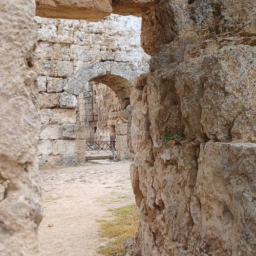 Photo #14066754