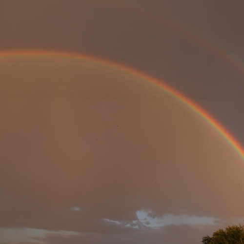 Photo #14066774