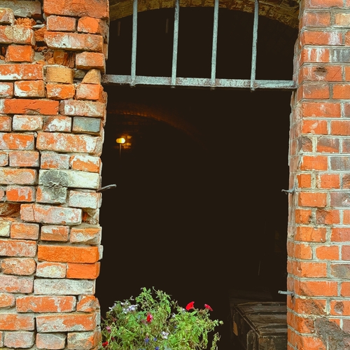 Photo #14066778
