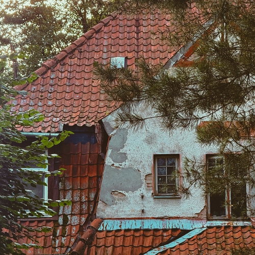 Photo #14066782