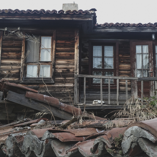 Photo #14066866