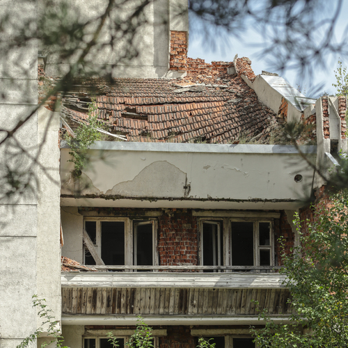 Photo #14066869