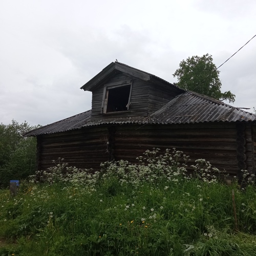 Photo #14066919