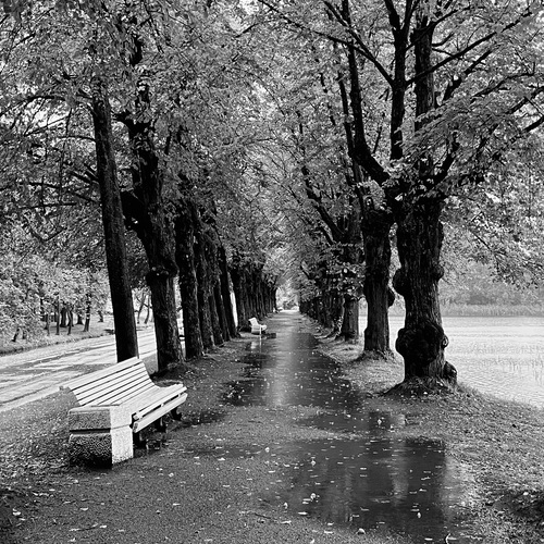 Photo #14067060