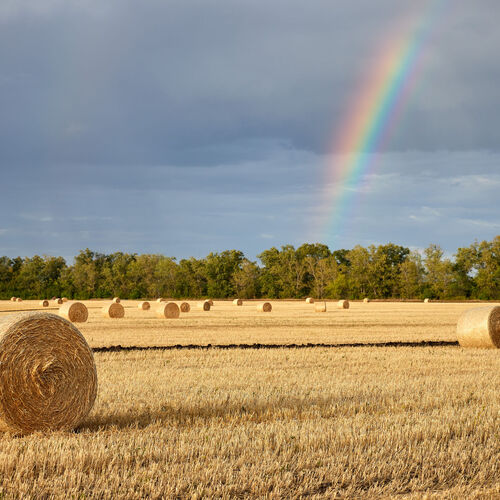 Photo #14067074