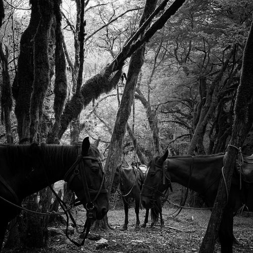 Photo #14067086